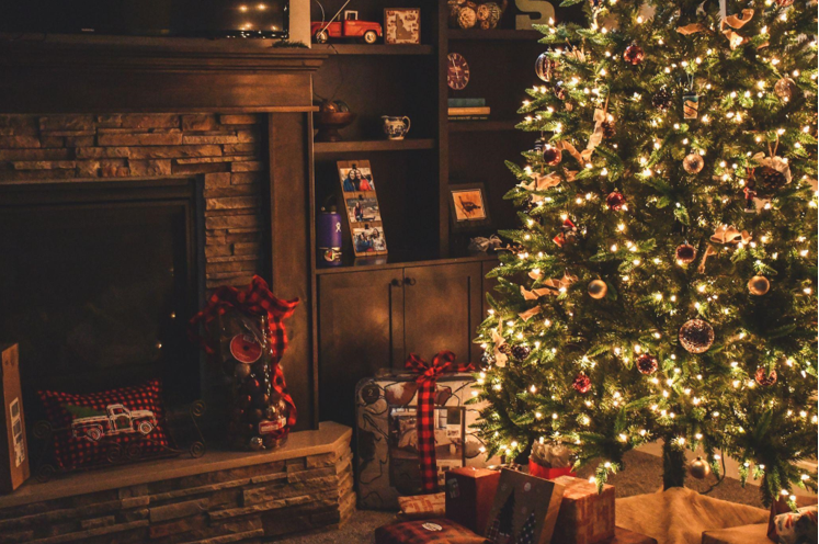 Artificial Christmas Trees and Their Impact on Education